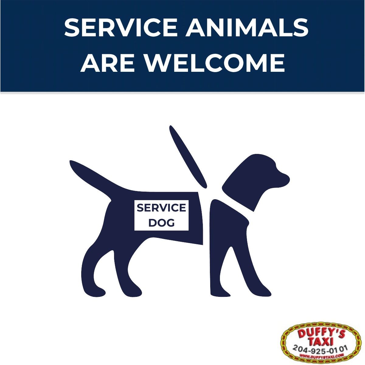 servicedog